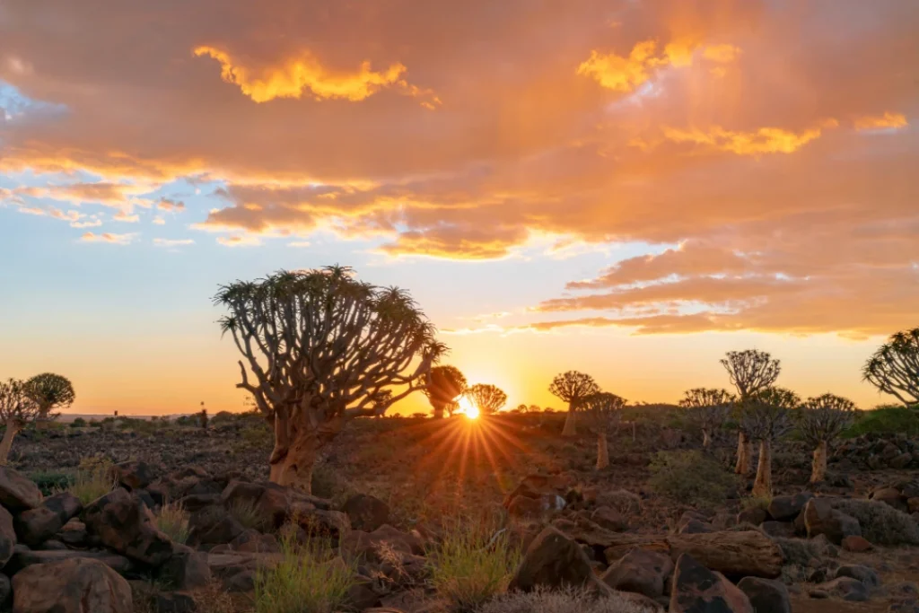 Découverte de la namibie : un voyage à travers ses paysages époustouflants