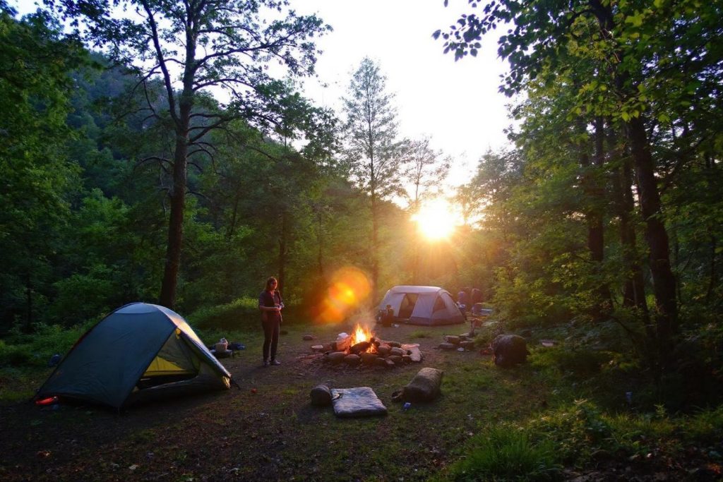 Camping la foret a Lourdes